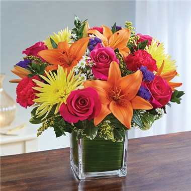 Healing Tears&trade; Multicolor Bright